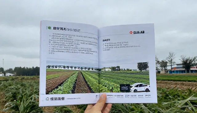 团队选型在商贸业务中的适用情况与限制